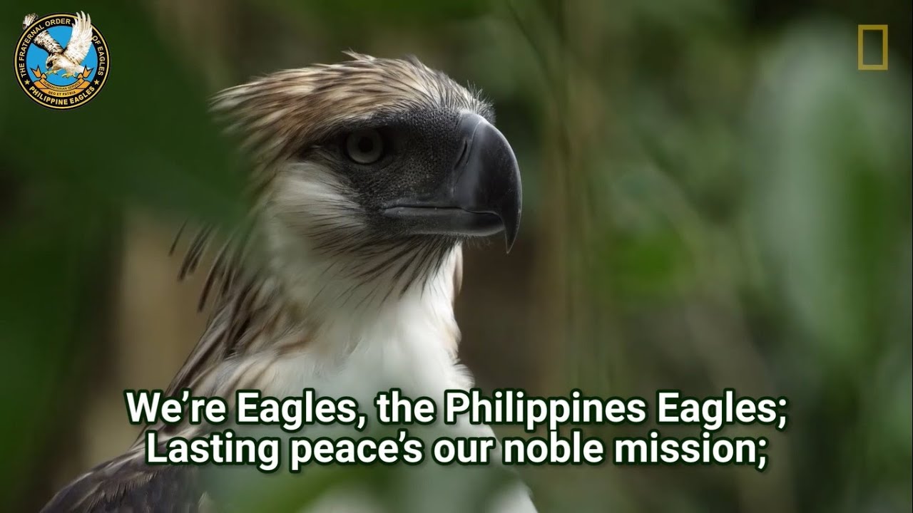 TFOE-PE: Eagles Hymn - Instrumental