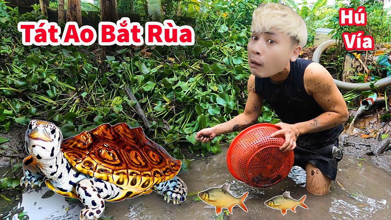Hậu Cáo - Tát Ao Tìm Đàn Rùa Bị Sổng Và Bất Ngờ Với Cụ Cá Trê Dưới Đáy Ao