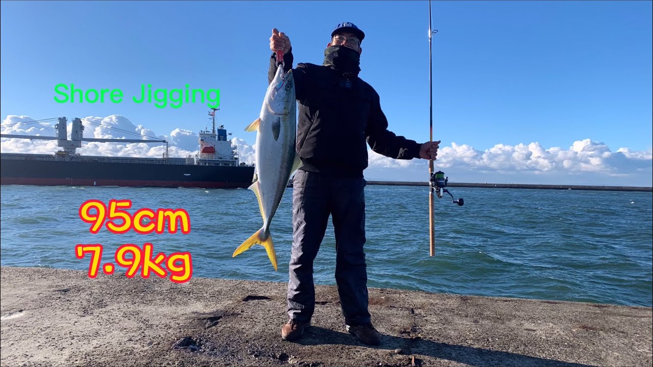 Câu Lure-Jig ở cảng biển, hay không bằng hên, cá cam 0.95m 7.9kg | Gia Đình Cá Tráp | Câu Cá ở Nhật