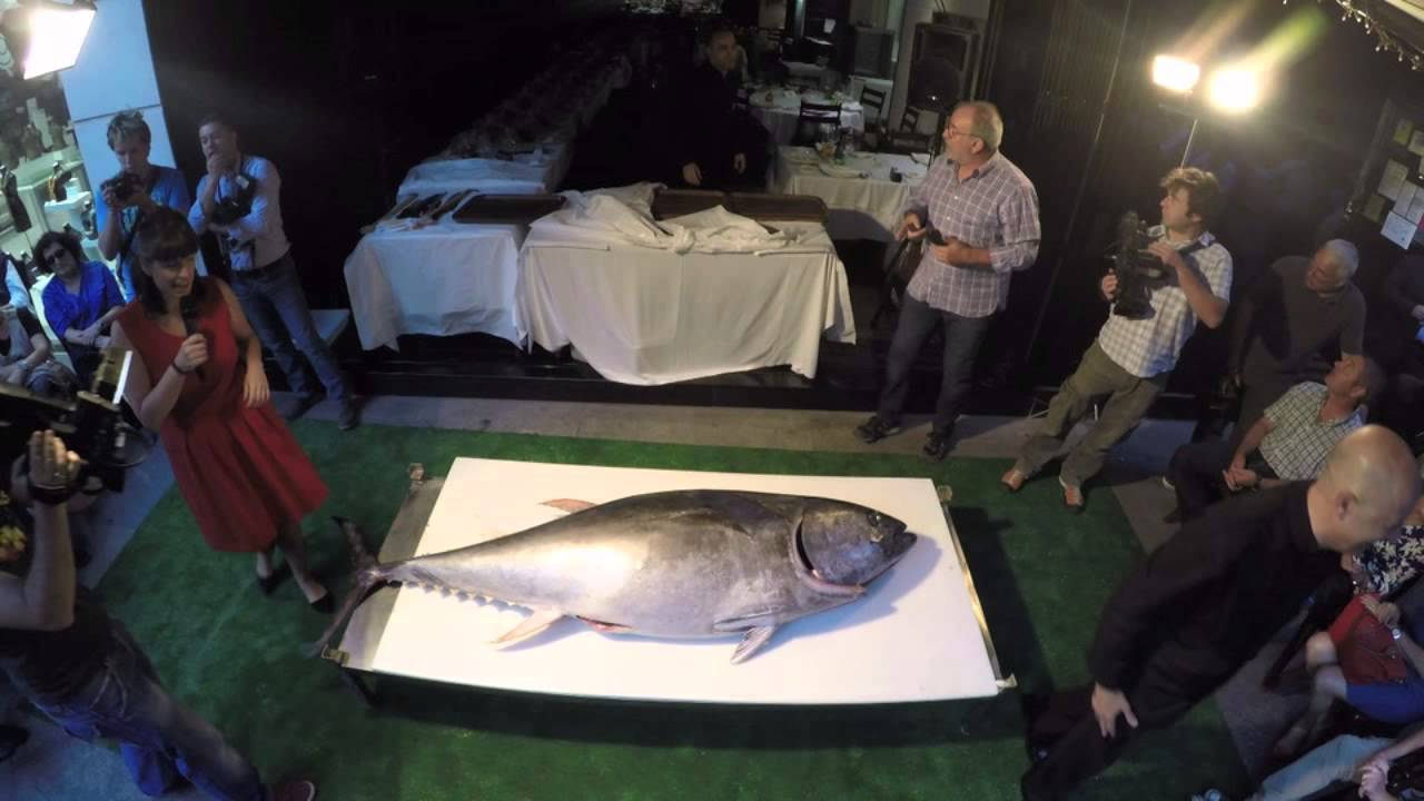 Restaurante Hispano de Murcia - Ronqueo de un at&uacute;n de 220kg.