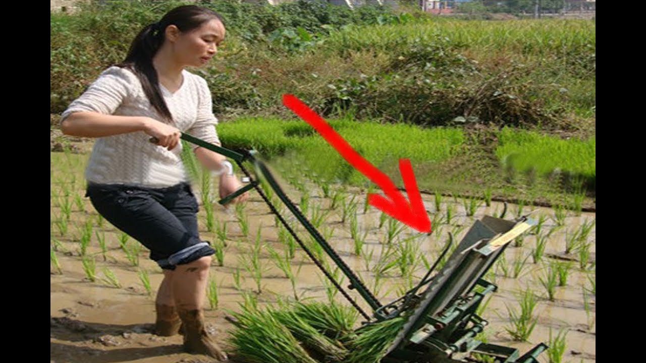Unik Cara Petani Menanam Padi Di Jepang