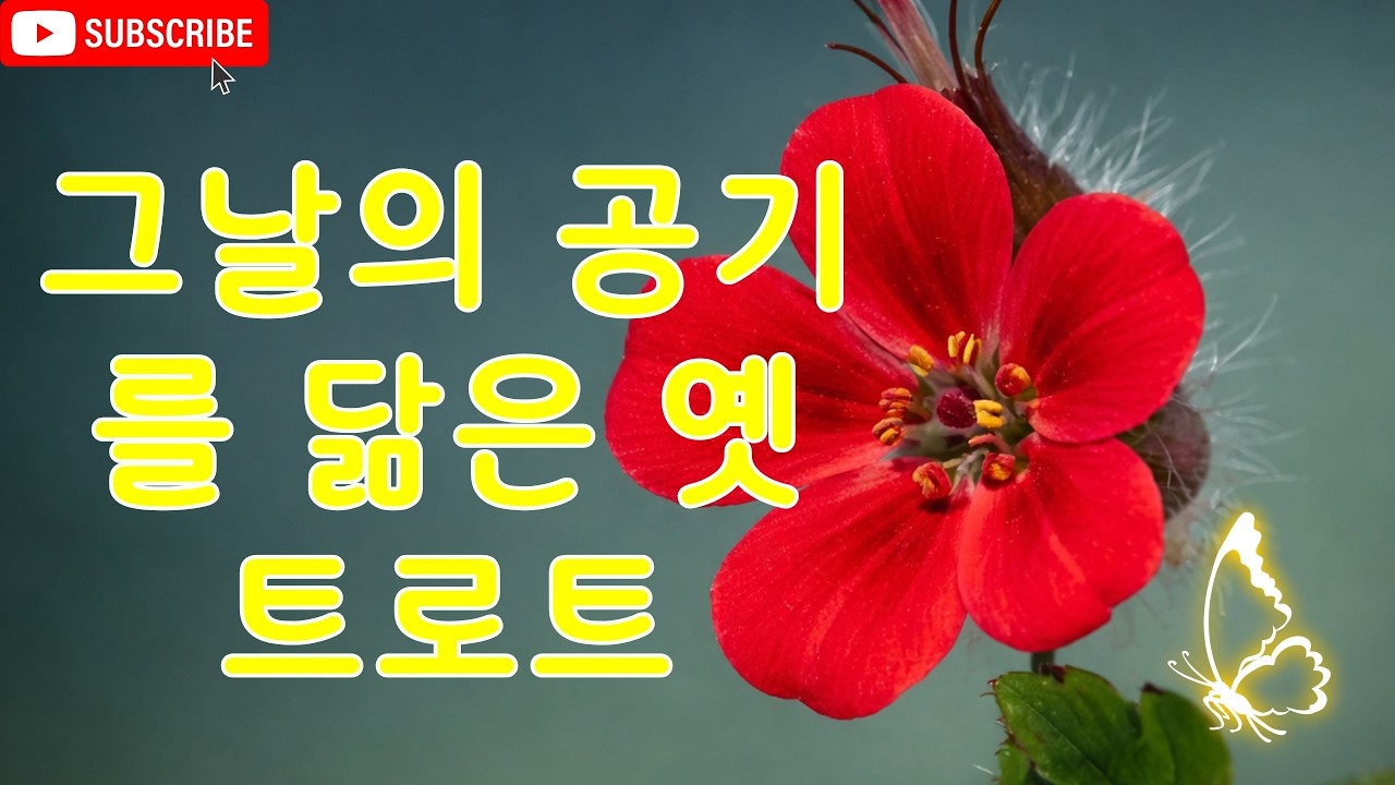 인생 트로트 명곡 BEST 20 │ 추억의 트로트 베스트 🎤 정통 트로트 명곡 모음 / [트로트 인기곡] 1시간 연속듣기 #트로트