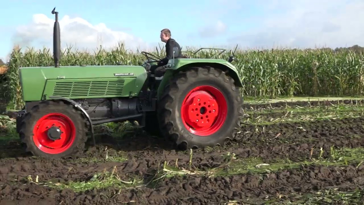 Impressie historische mais hakselen Middelbeers 2024