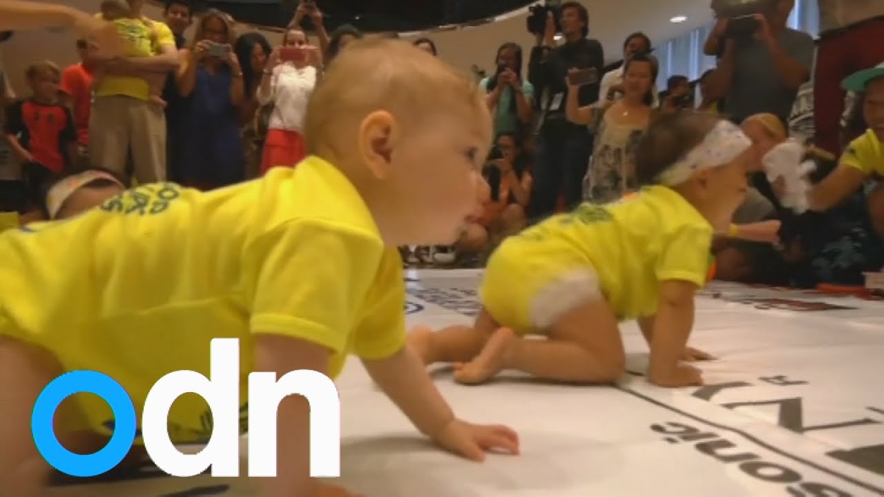 Diaper Derby: Toddlers compete in the 