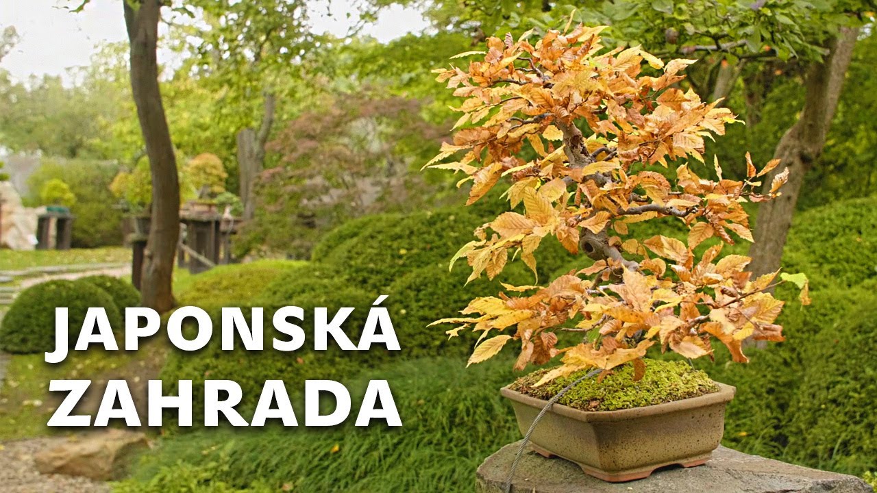 Japonská zahrada