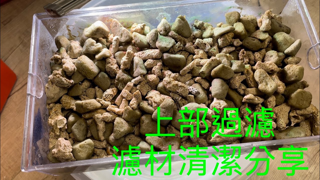 什麼！濾材洗了會出事？不會啦，我教你 土豆仁水族