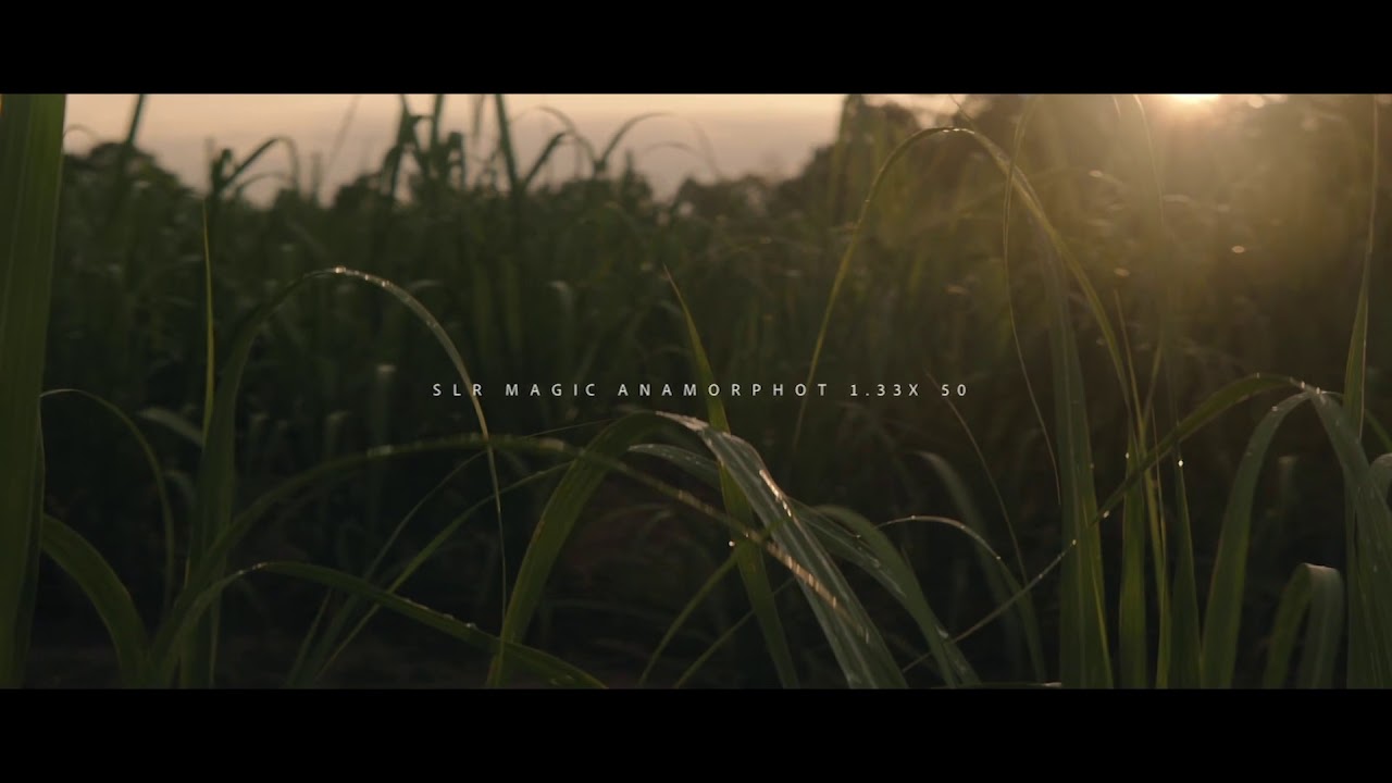 Cinematic Test Footage. SLR Magic Anamorphot-50 1.33x