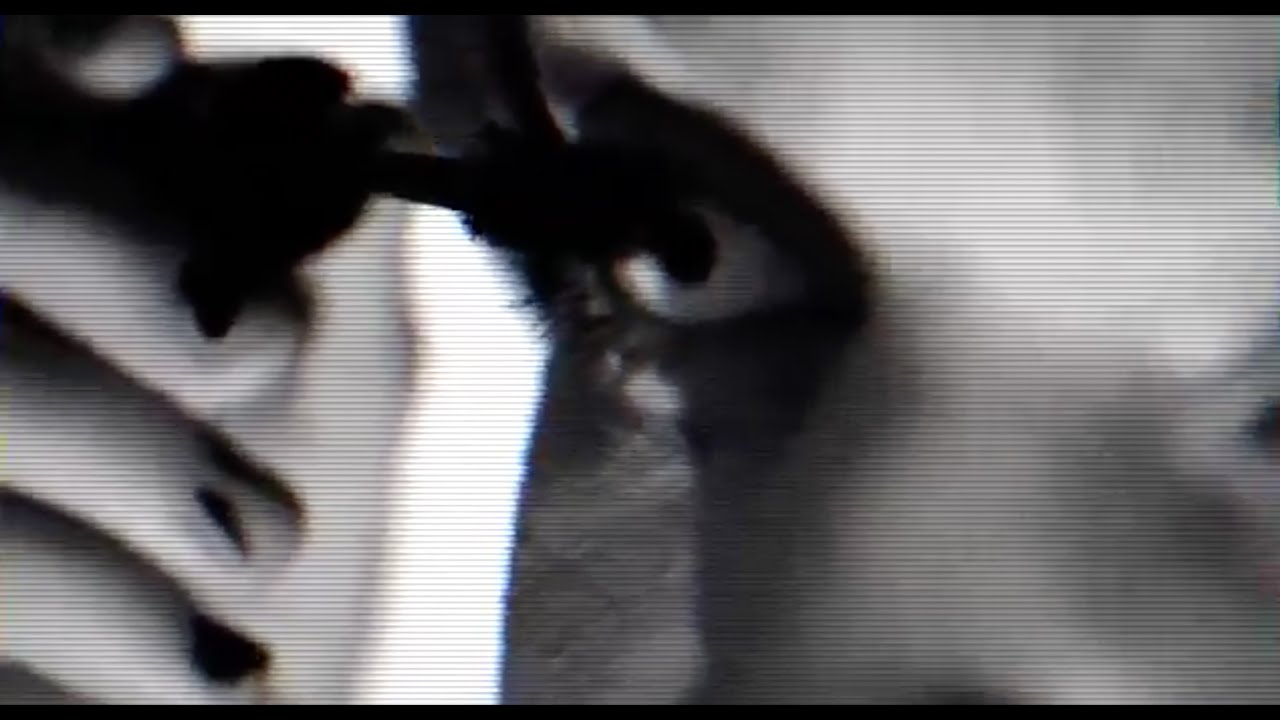 Krankheit - F&uuml;r Elise (Official Video)