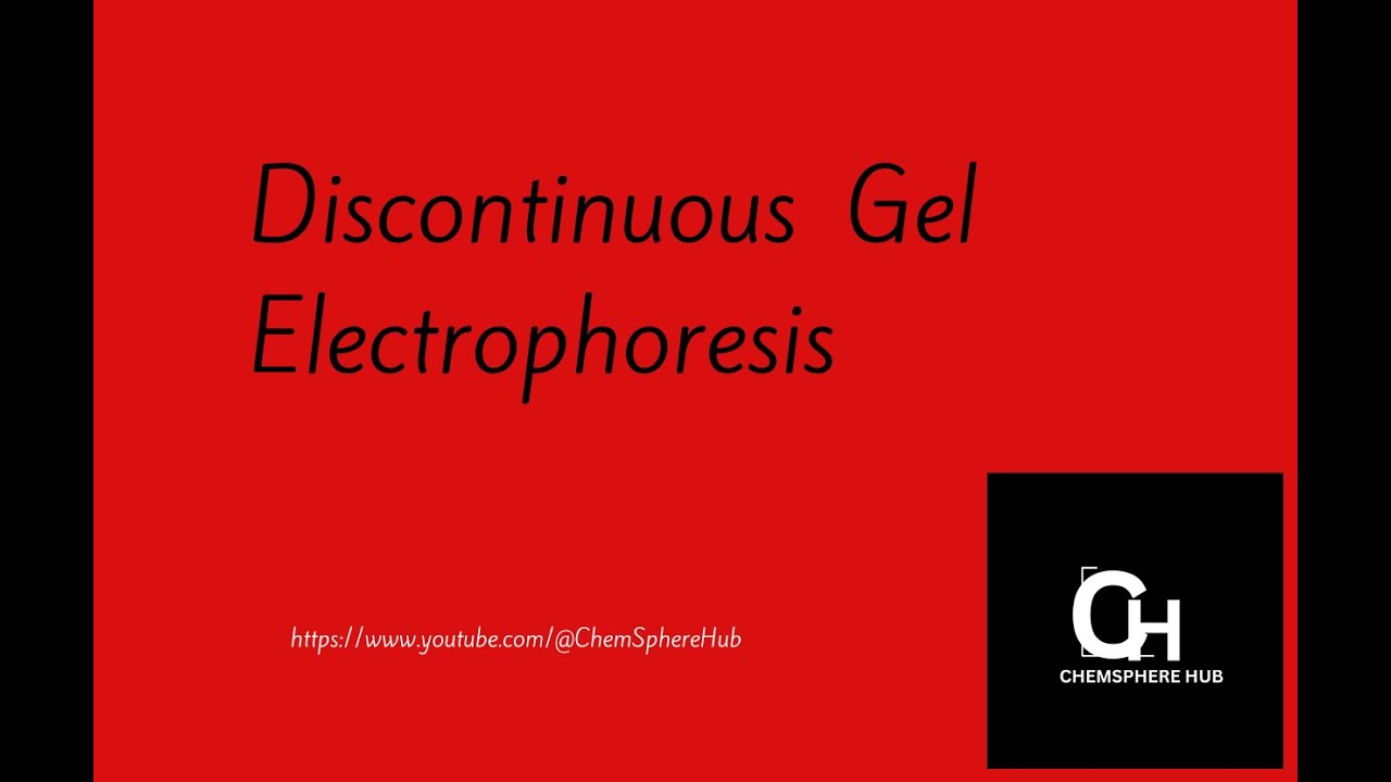 Discontinuous Gel Electrophoresis/chemistry/science/Analytical chemistryChemSphere Hub