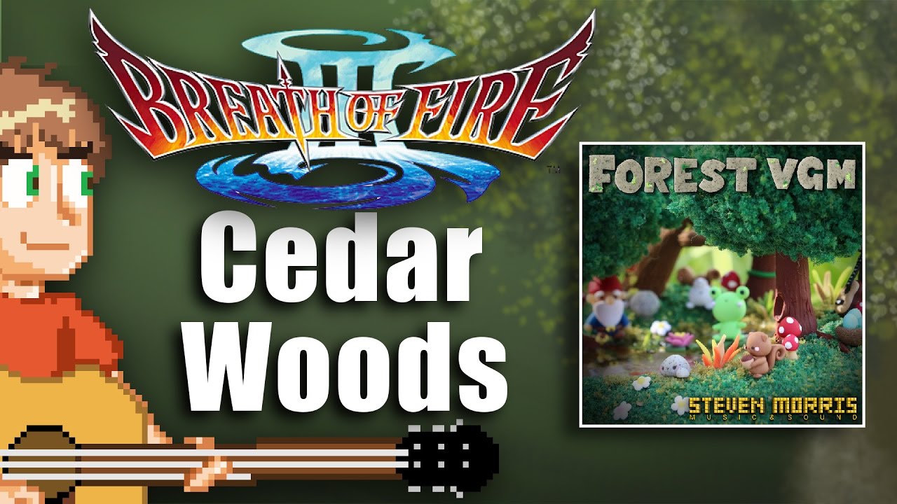 Breath of Fire III: Cedar Woods Acoustic cover by Steven Morris