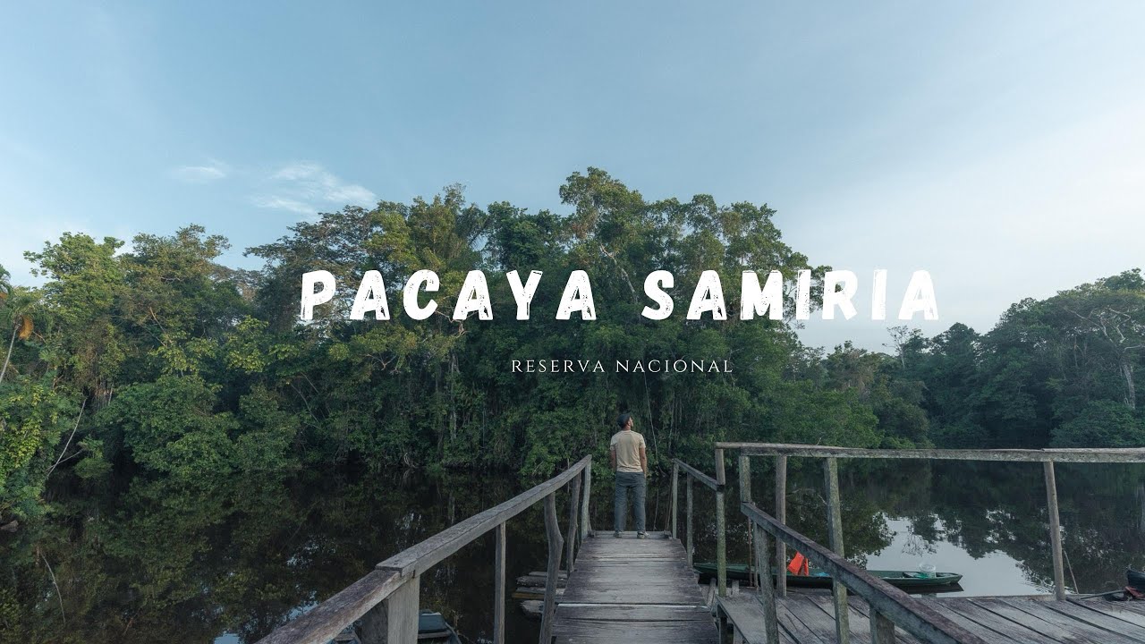 Explorando la Reserva Nacional Pacaya Samiria – 5 días en la selva amazónica 🛶🐆🌿