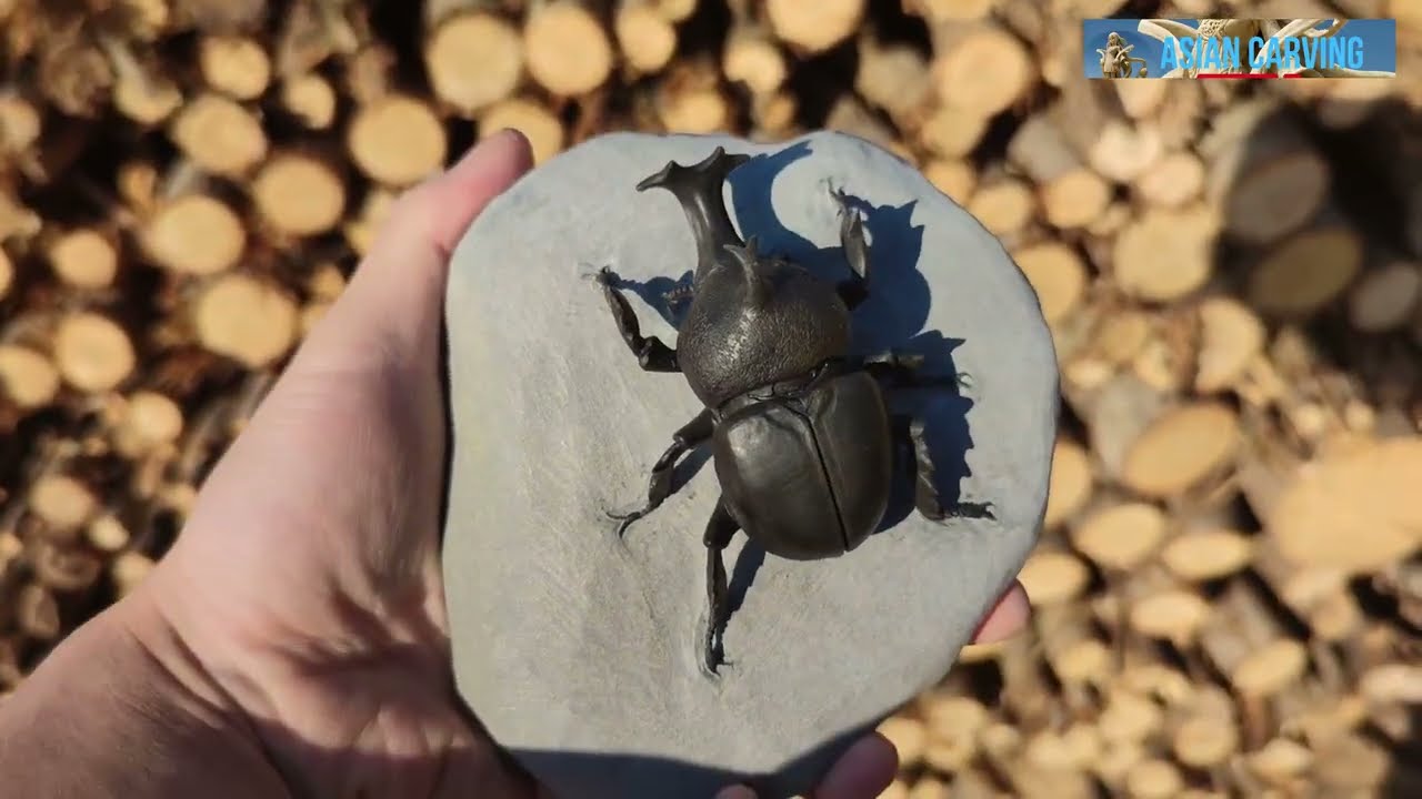 To be honest, I dug a rhinoceros beetle out of a rock.hehe !