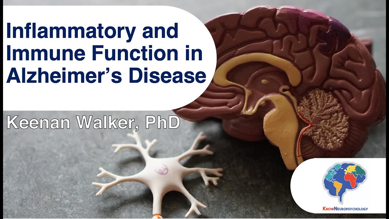 Inflammatory and Immune Function in Alzheimer's Disease
