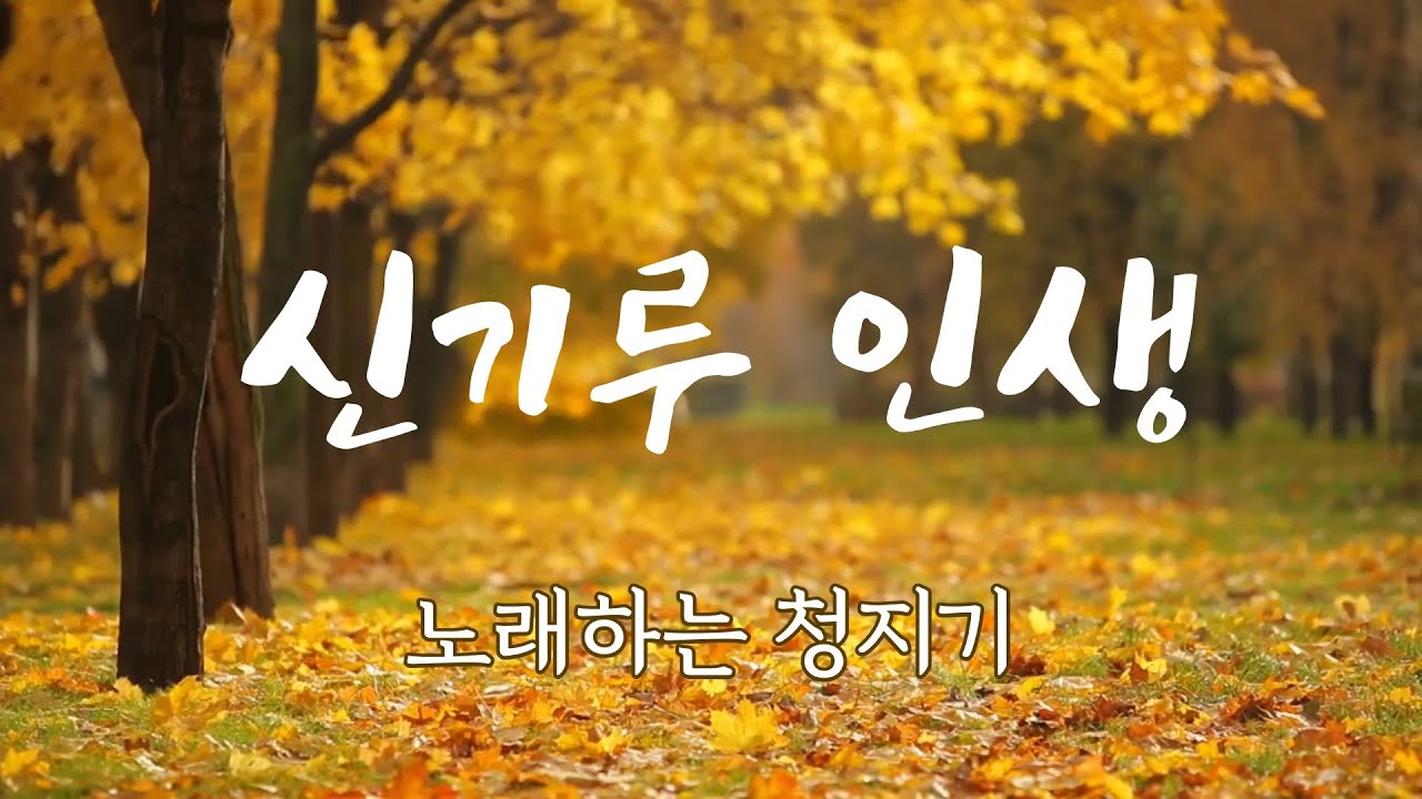 신기루 인생 - 노래하는 청지기