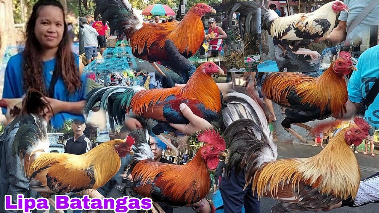 November 29, 2025 Dinarayong Bentahan sa Lipa batangas...