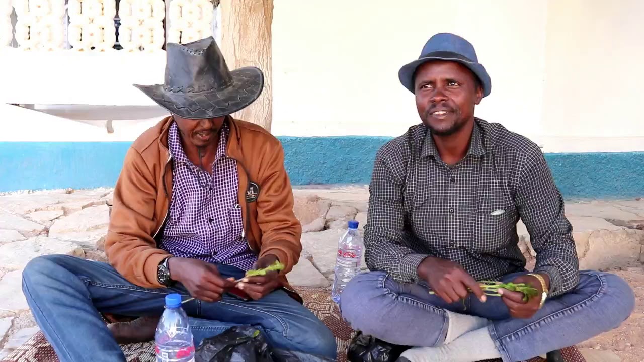 Hagardaamada qaadka iyo sida loogu Habsaamay