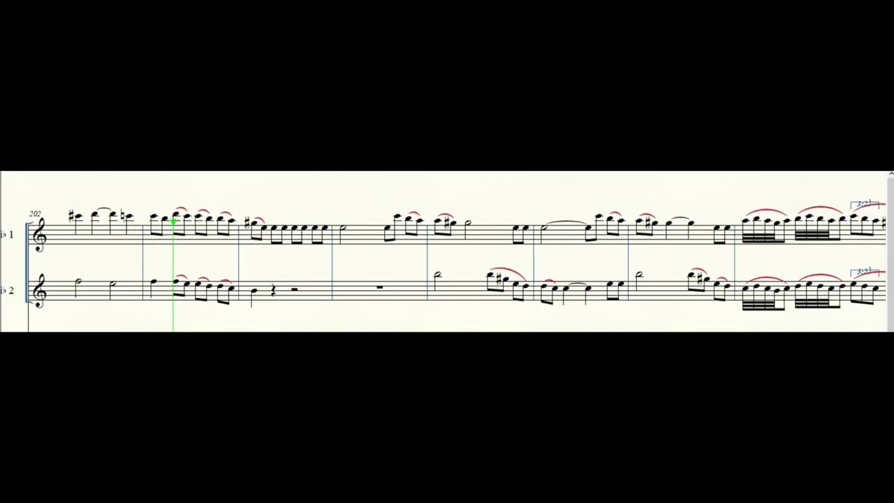 Francois Devienne- Sinfonia Concertante Op 25(Allegro con spirito) per 2 Clarinetti in Sib e Pf Demo