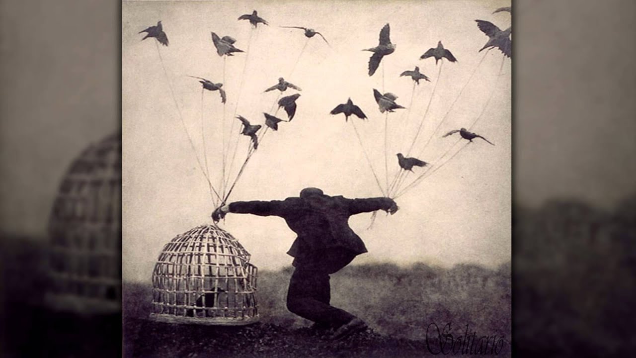 Solitario - Volar (Prod. TERROR BEATS)