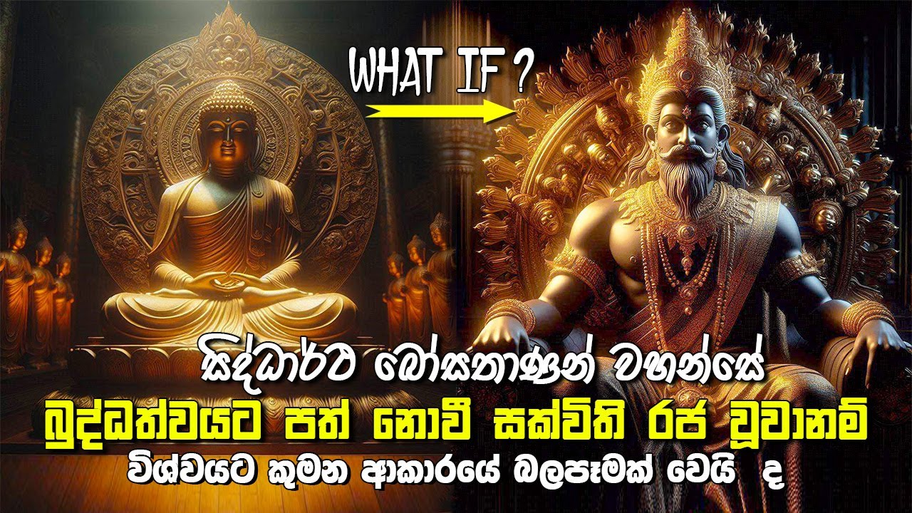 සිද්ධාර්ථ බෝසතාණන් වහන්සේ බුද්ධත්වයට පත් නොවී සක්විති රජ වූවා නම් විශ්වයට කුමන ආකාරයේ බලපෑමක් වේවී ද
