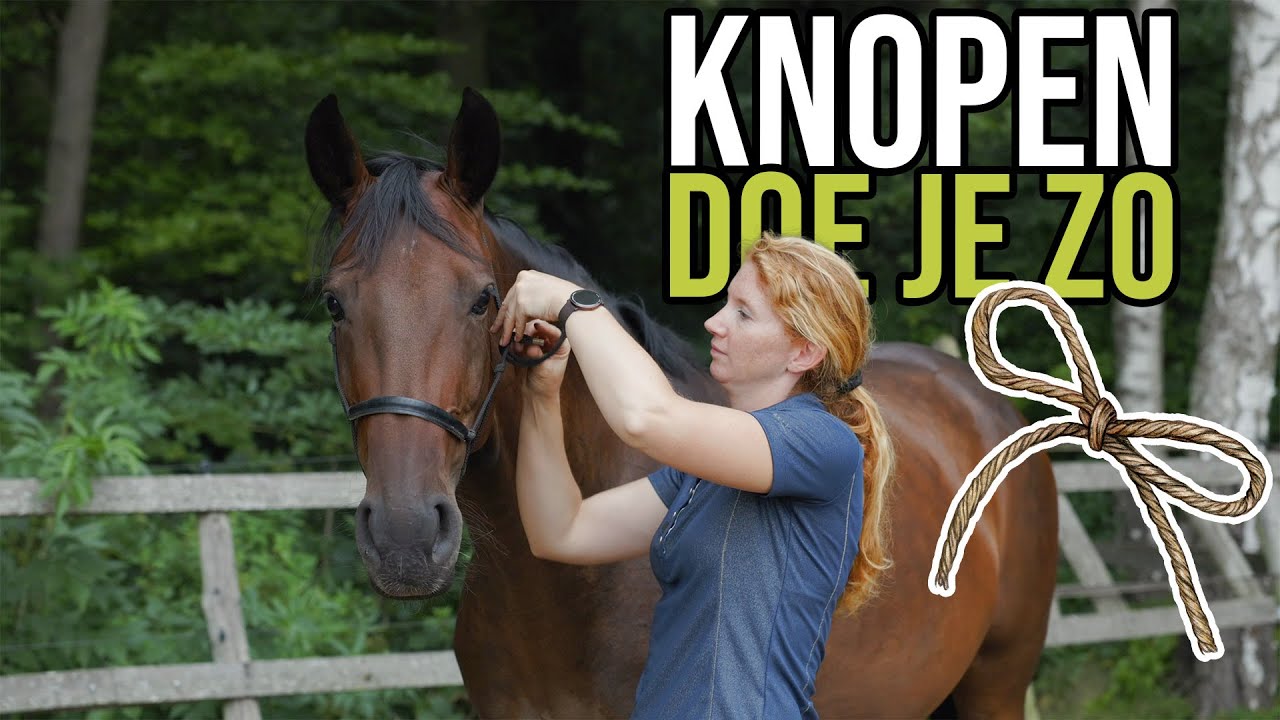 Een touwhalster knopen doe je zo