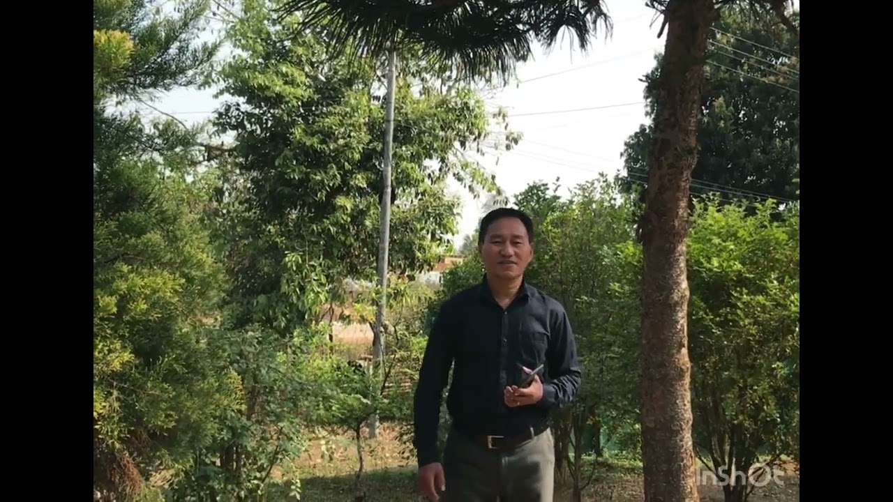 Ntsanruk ji jo a eyilo ji: Lotha Song