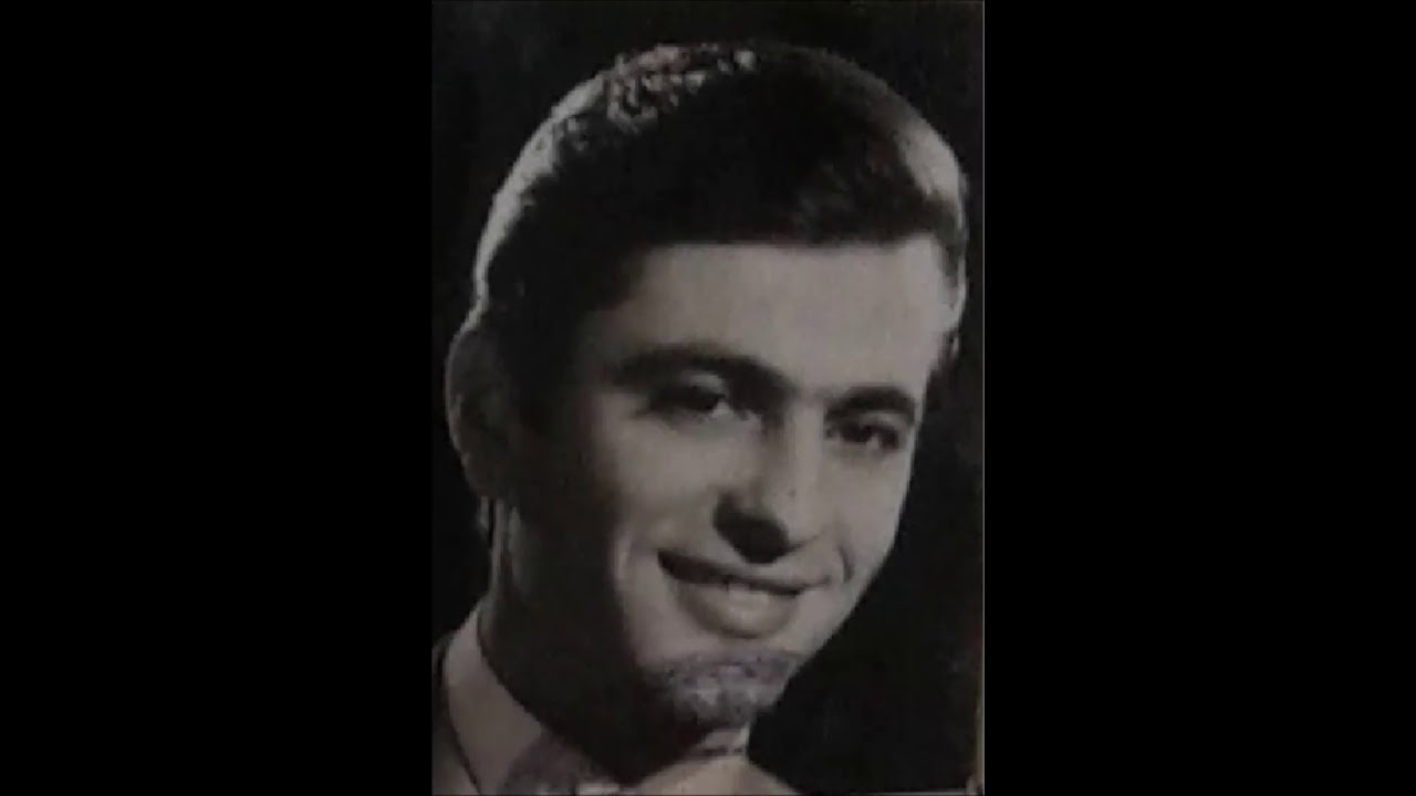 Metin Pala - Ala Geyik - Uzun Hava