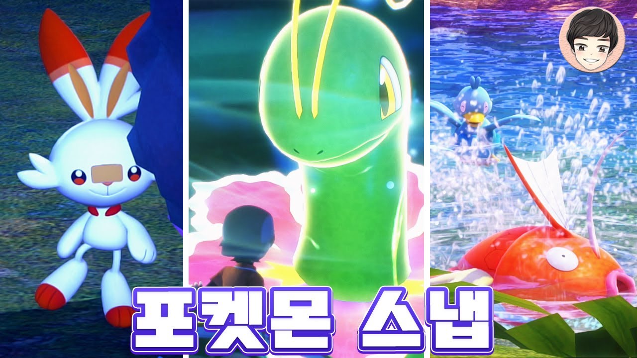 새로운 렌틸지방에서 포켓몬 포토 도감 만들기 [뉴 포켓몬 스냅]