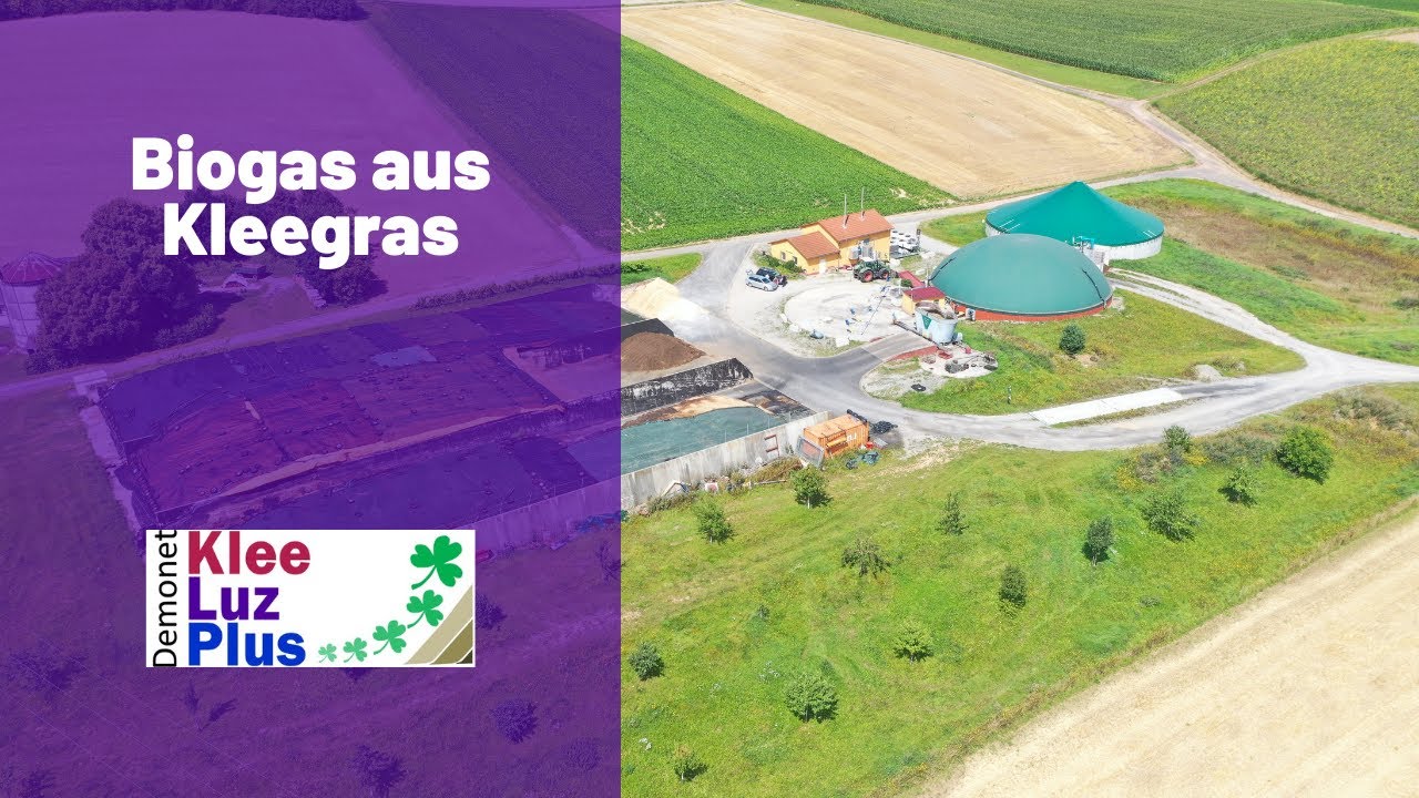 Biogas aus Kleegras