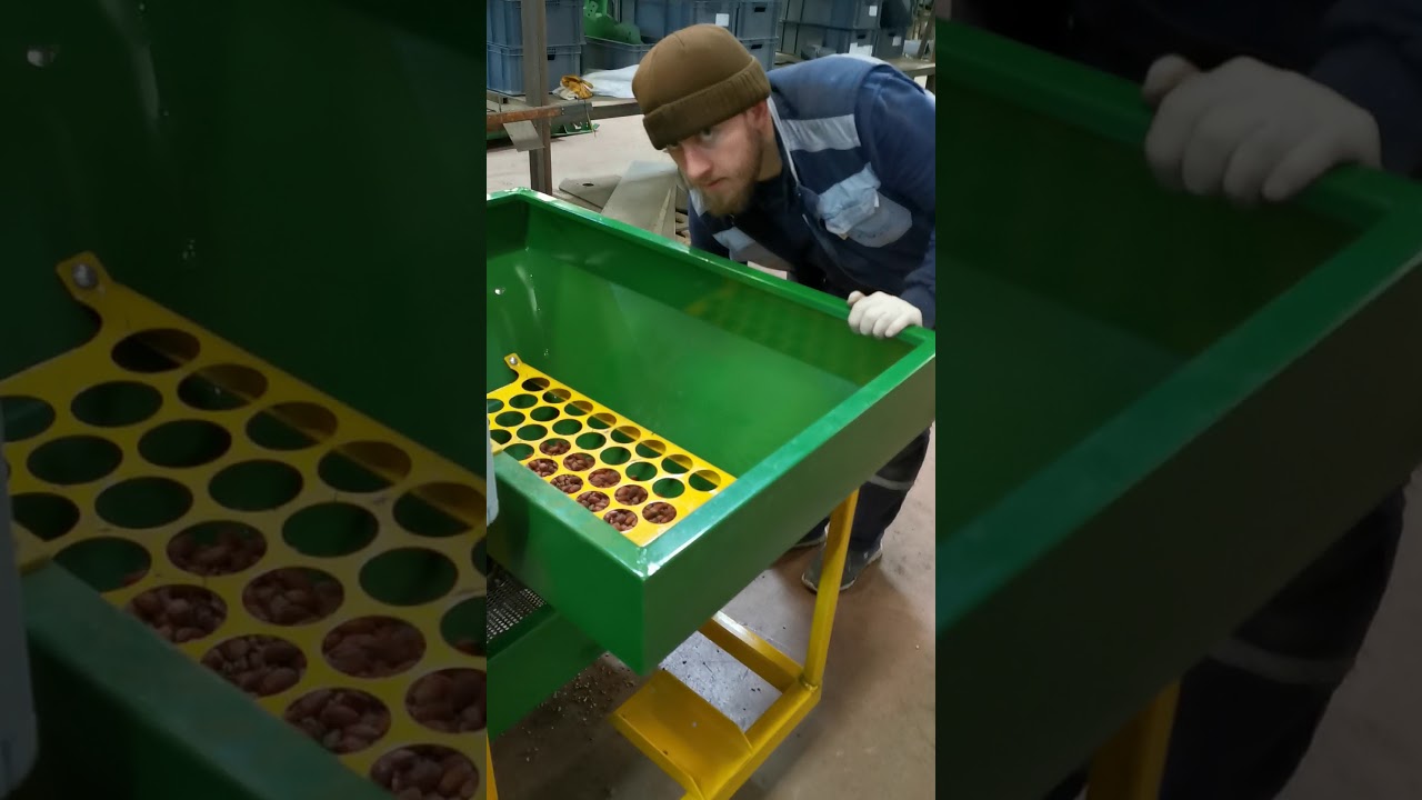 Hasatsan Fındık Taş toprak temizlik makinasi