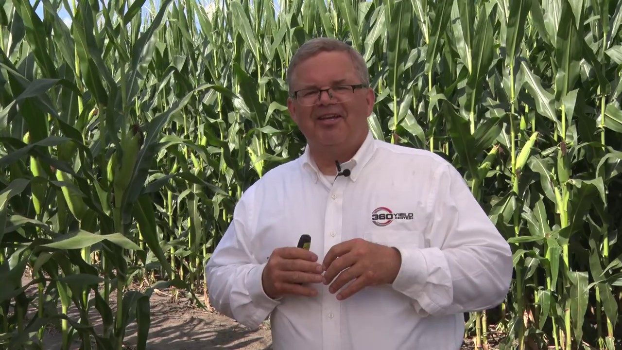 PG19: Boost ROI on Starter