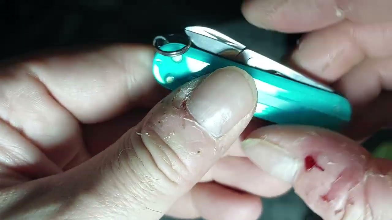 Victorinox Classic SD tropical surf - Unboxing - 15Jan2024.