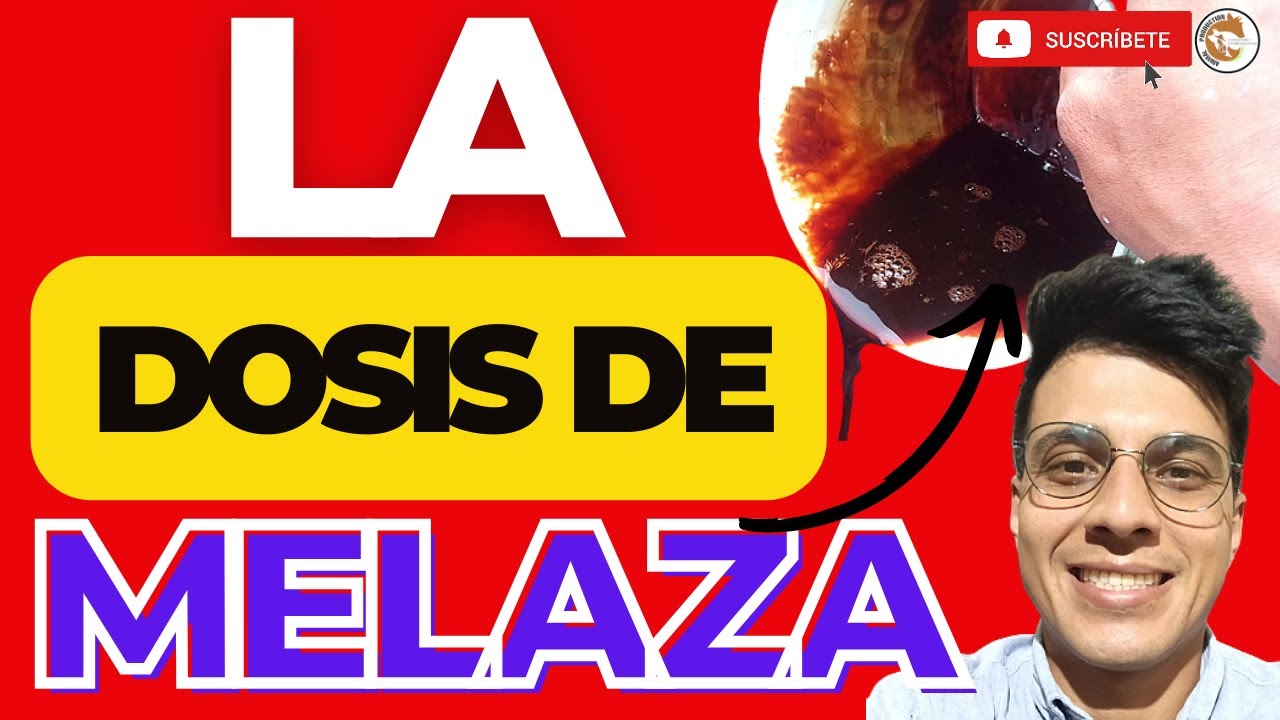 😏USE LA MELAZA PARA ENGORDAR POLLOS RÁPIDO🤑