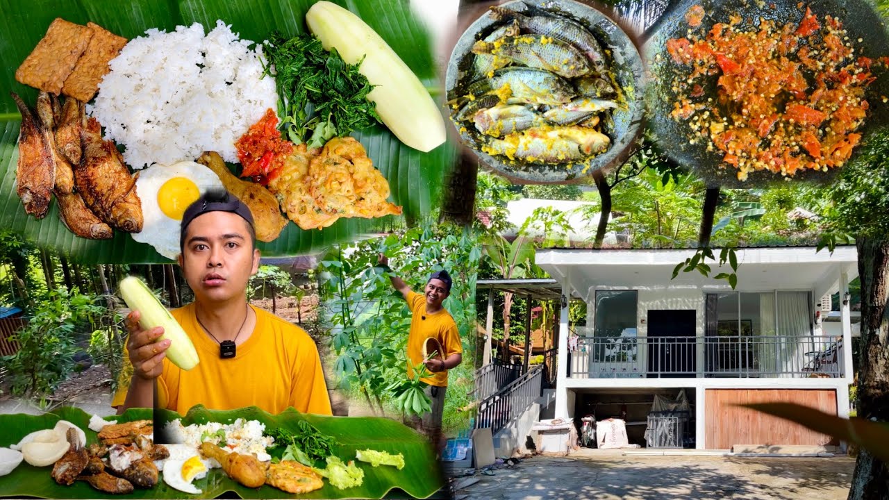 SUWASANA KEBUN DAN RUMAH MASAK SAMBELAN DAUN SINGKONG & IKAN HASIL NGURAS KOLAM ENAK BANGET…🤤