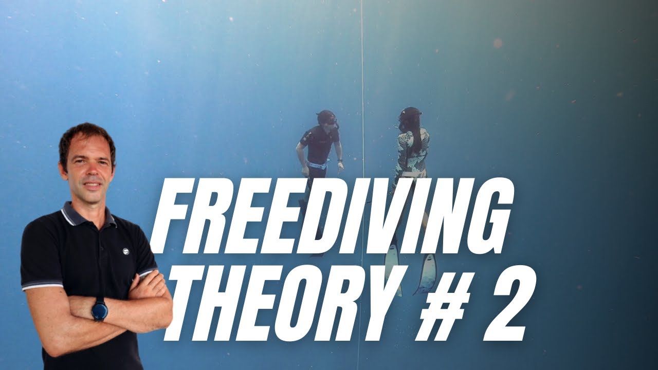 The Art Of Breath Holding For Beginners | Freediving Theory Part 2