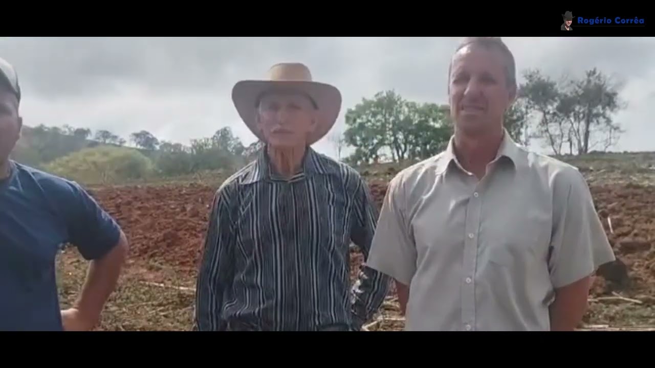 🌾 Bois carreiros arando tradição que ecoa na memoria rural