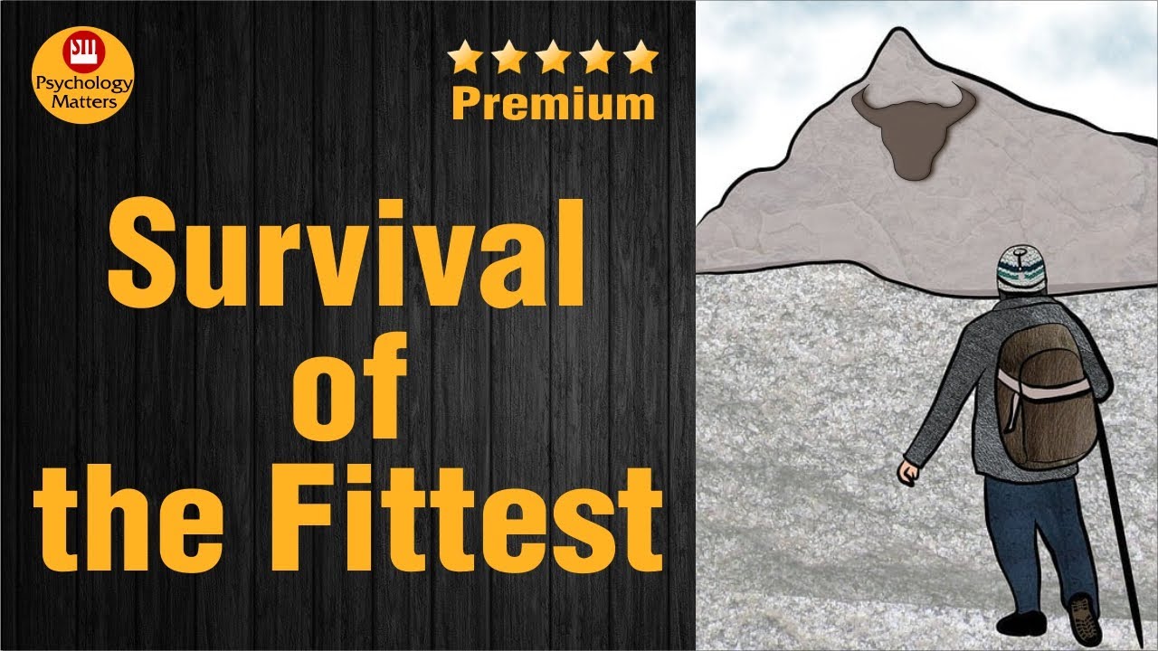 🔰🔶 🔰🔶Survival of the Fittest | 17th March 2024 |  Psychology Matters | SM LIVE