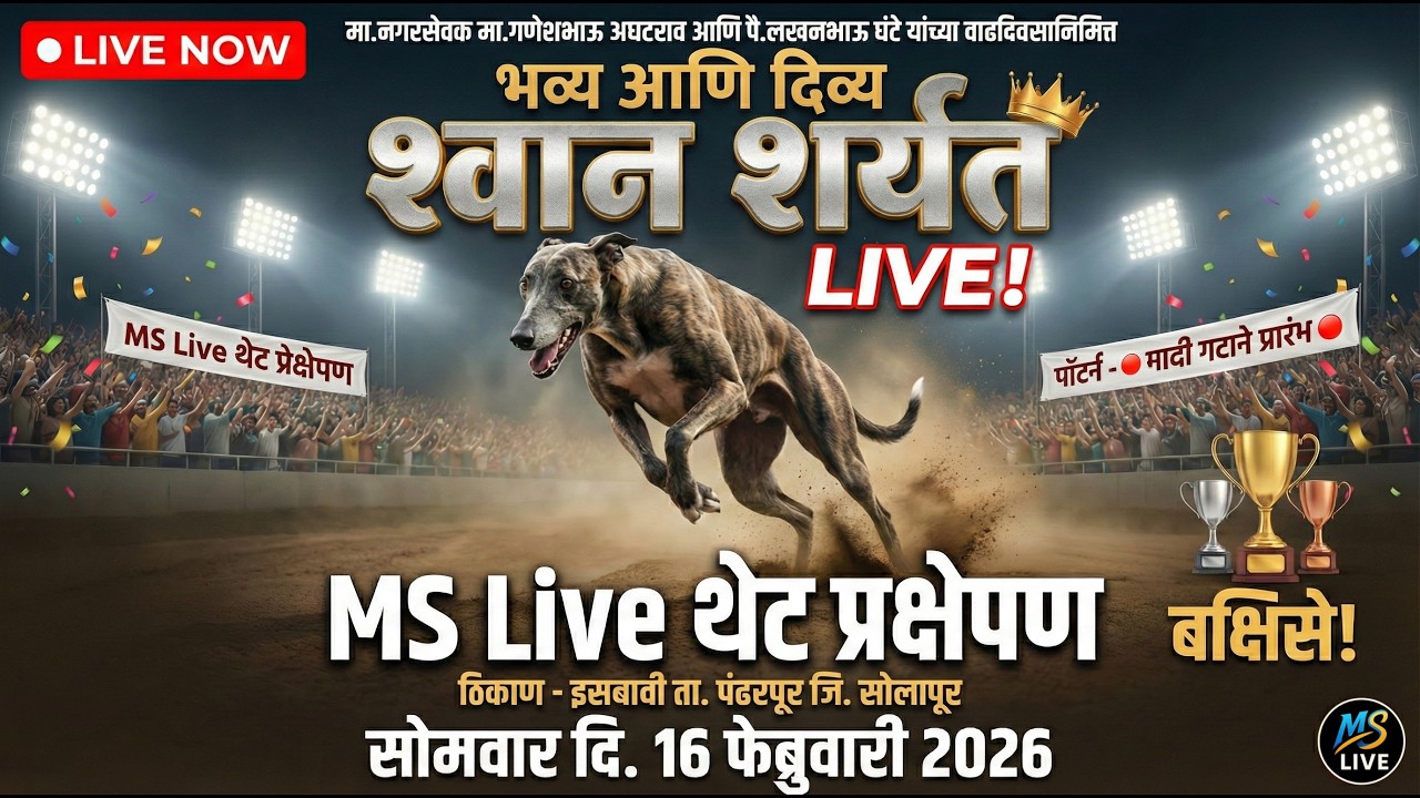 LIVE: भव्य श्वान शर्यत | गणेशभाऊ अघटराव व लखनभाऊ घंटे वाढदिवस विशेष | Pandharpur Dog Race | MS LIVE