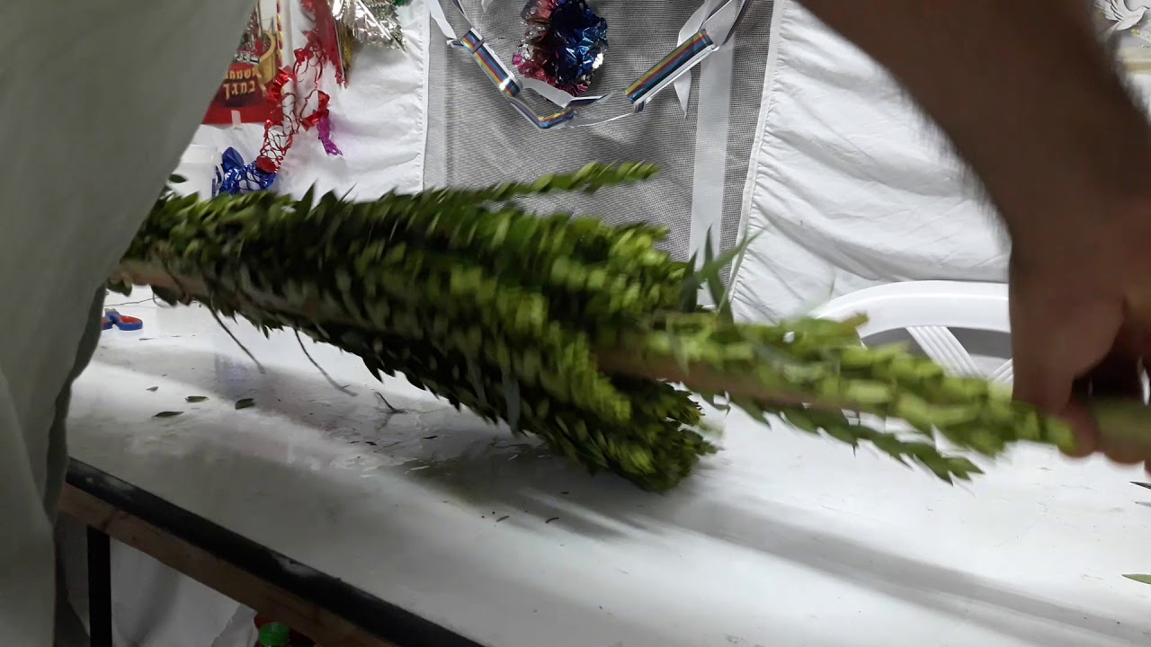 אגידת לולב - מנהג תימן