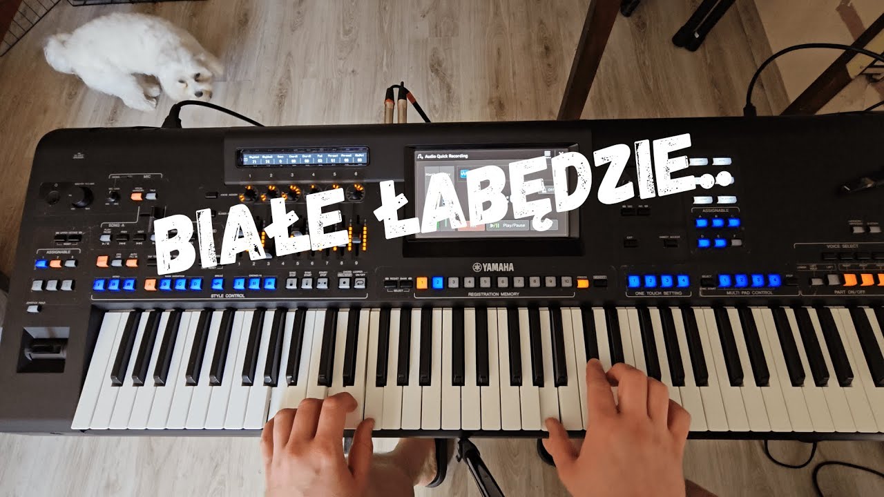 ✮ BIAŁE ŁABĘDZIE ✮ (Yamaha Genos 2)