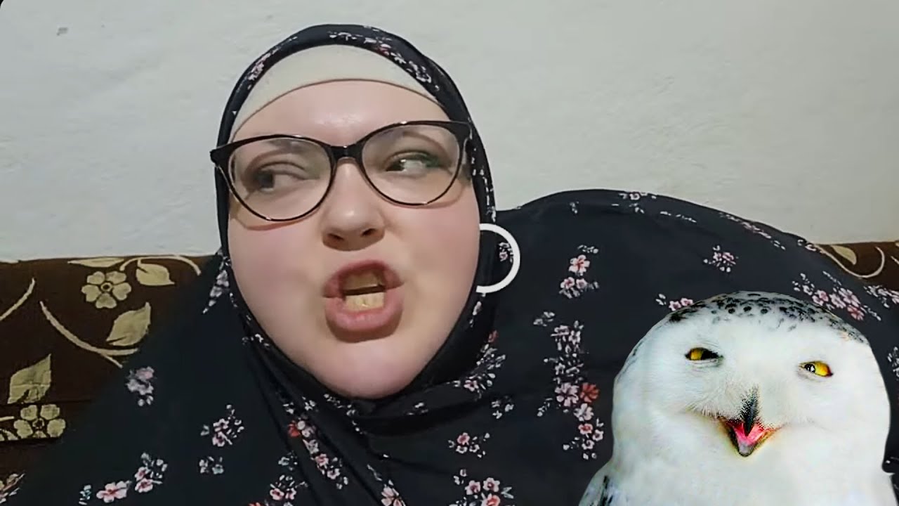 Hypocrite Foodie Beauty Tells 