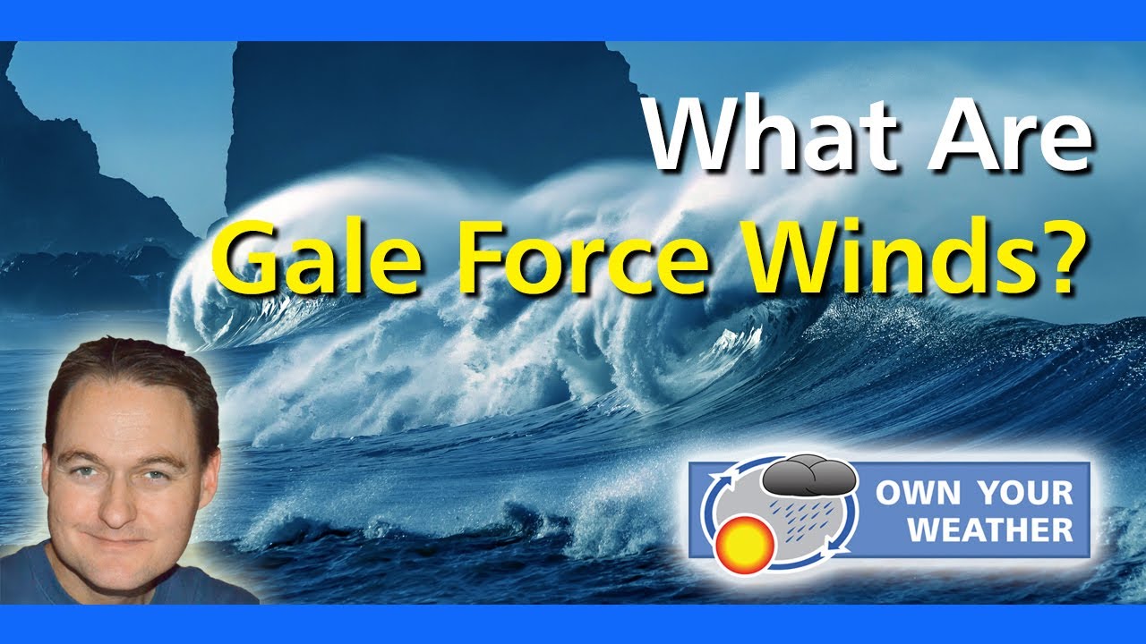 What Are Gale Force Winds?