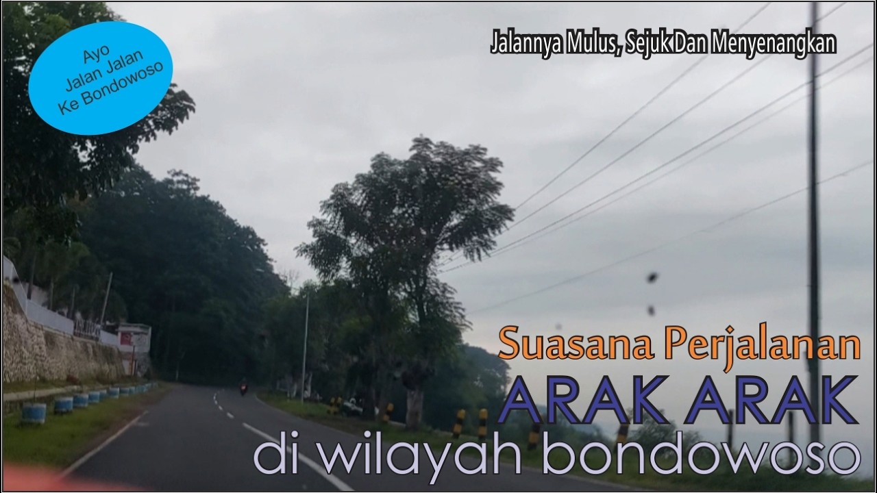 DJ TIKTOK TERBARU 2026 || DJ CINTA DARI SEBERANG 🎵 DJ KATANYA CINTA TAK BUTUH RUPA 🎵 FULL ALBUM❗❗