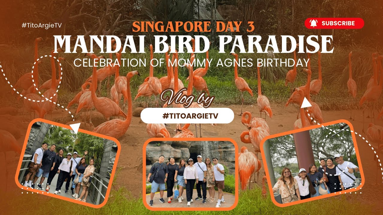 Singapore Day 3 | Mandai Bird Paradise Tour & Highlights 🇸🇬🦜