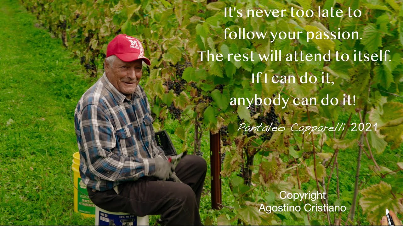 The Man Who Built a Vineyard in New York