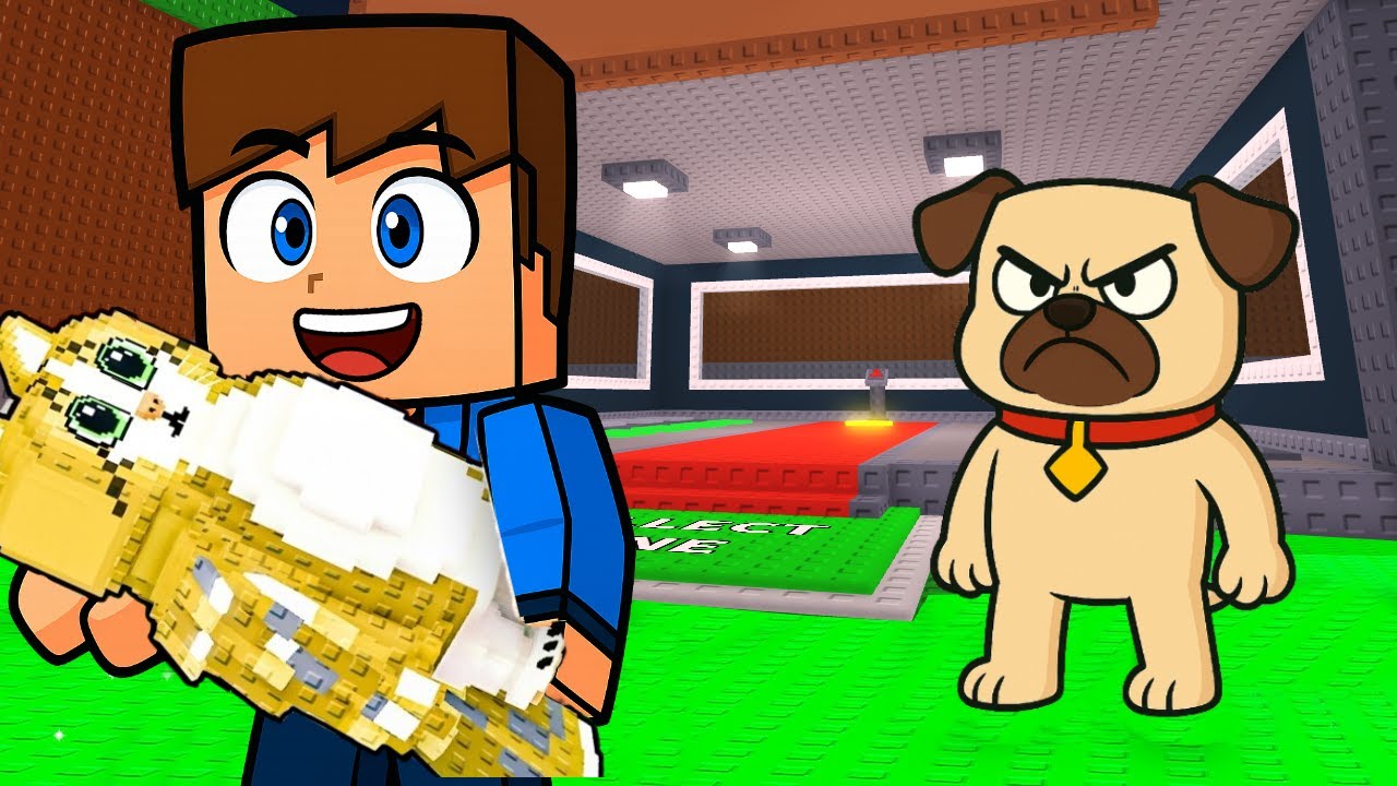 KIIS LOPOTT TŐLEM EZÉRT MINDENÉT ELLOPTAM A STEAL A BRAINROT ROBLOXBAN!