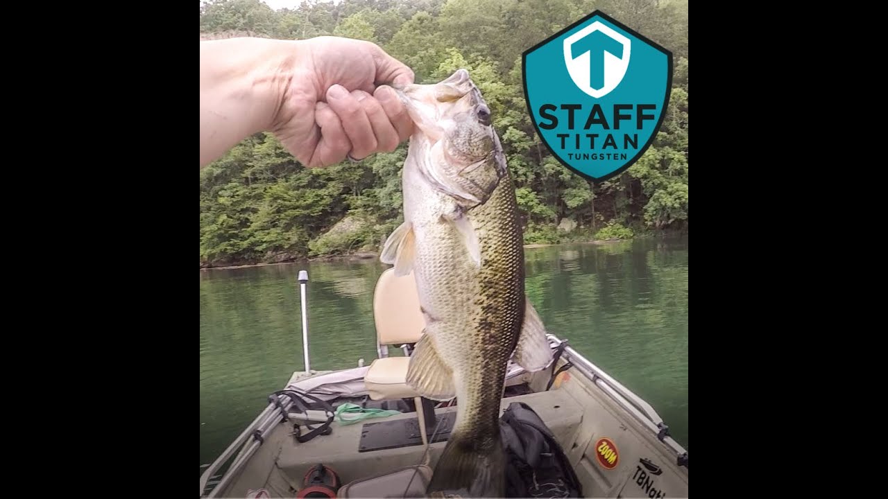 Mud River, West Virginia. Wacky Rig fishing for Largemouth Bass.