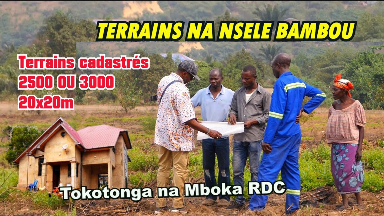 NSELE BAMBOU TERRAINS CADASTRES 20X20 2500$ cash ou 3000 en 3X - Nigerians aussi dans le coup