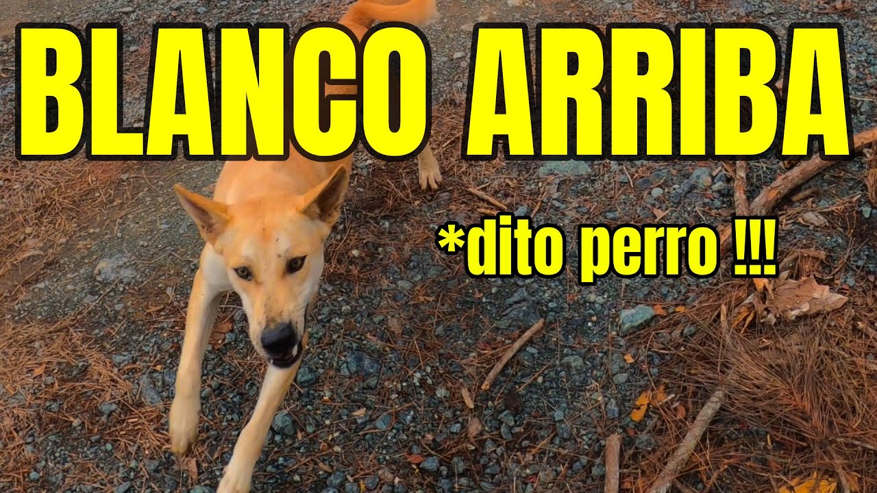 Blanco Arriba el pueblo más lindo de República Dominicana