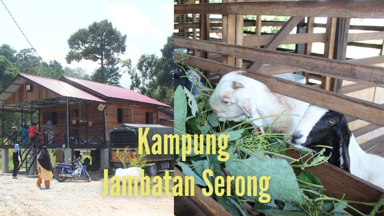 CITY ESCAPE ke Kampung Jambatan Serong dan TERNAK KAMBING