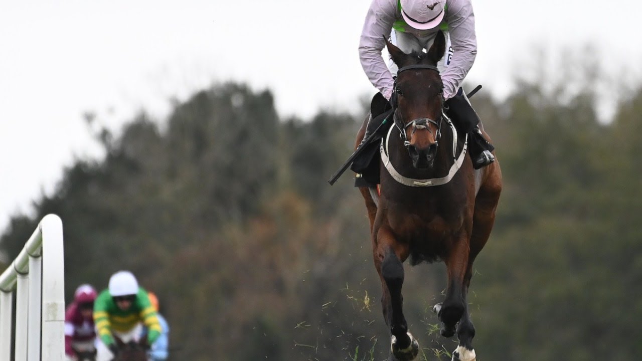Wow! GAELIC WARRIOR batters rivals on chase debut at Punchestown